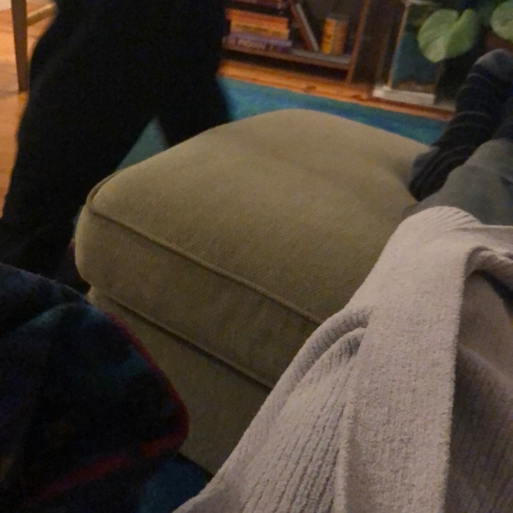 Meet your Posher, Elizabeth